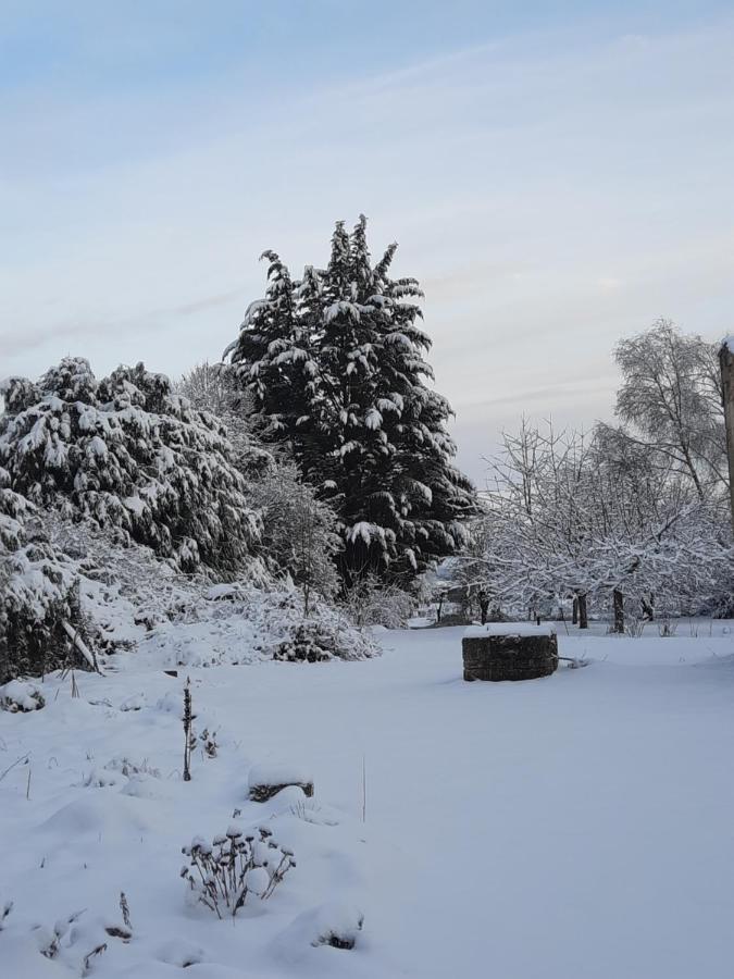 La Grange Aux Dames Bed & Breakfast Geville Bagian luar foto